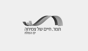 מועצה אזורית תמר